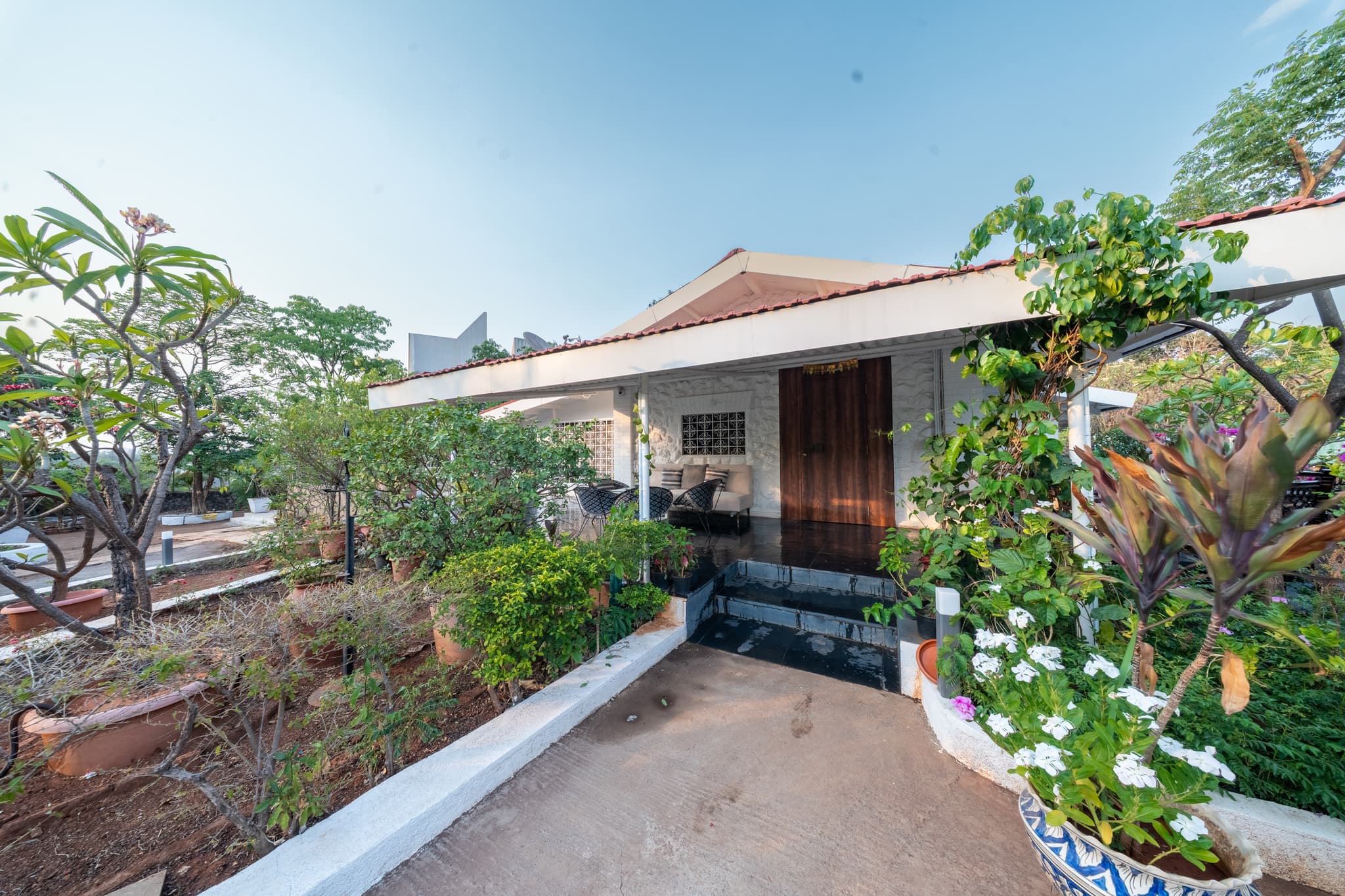 Coconut Grove preview 3