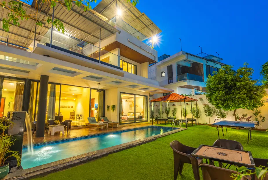 Green Palm 19