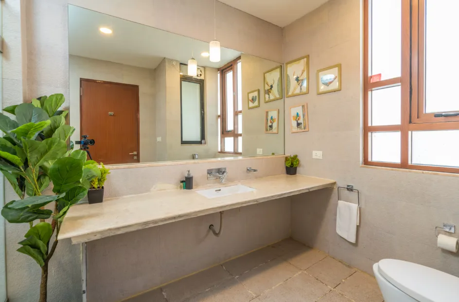 Green Palm 15