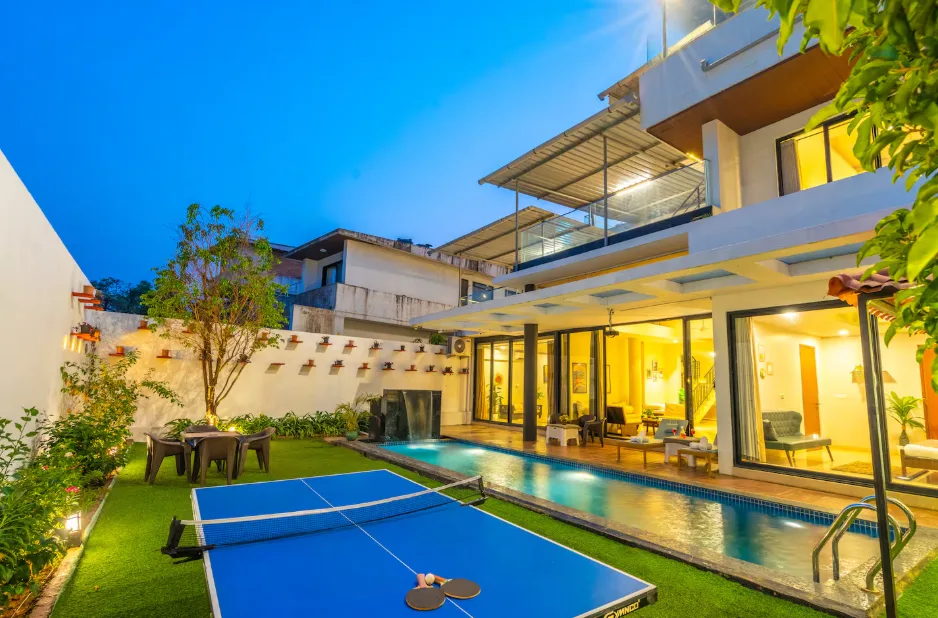 Green Palm 16
