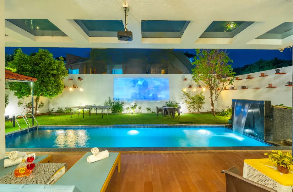Green Palm 17