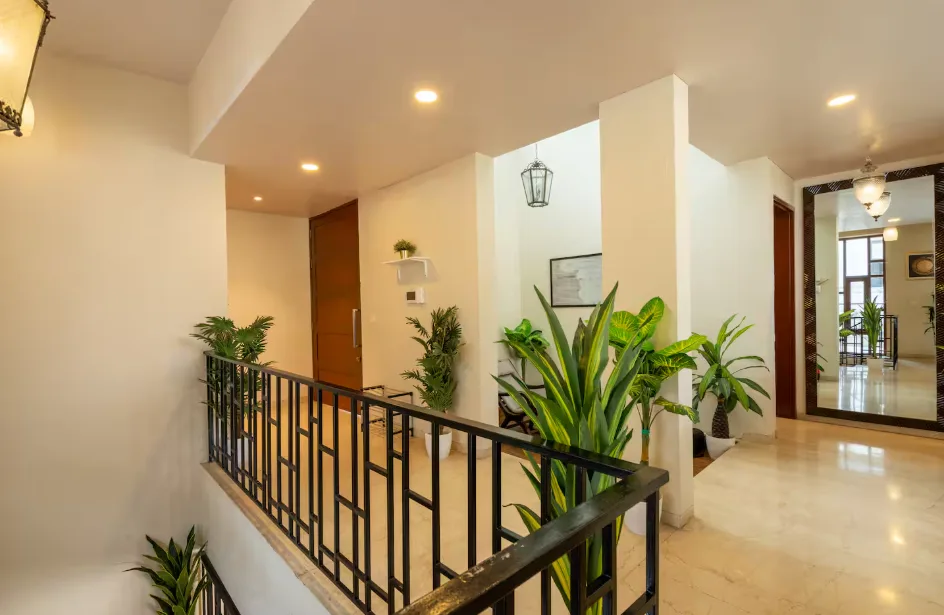 Green Palm 25