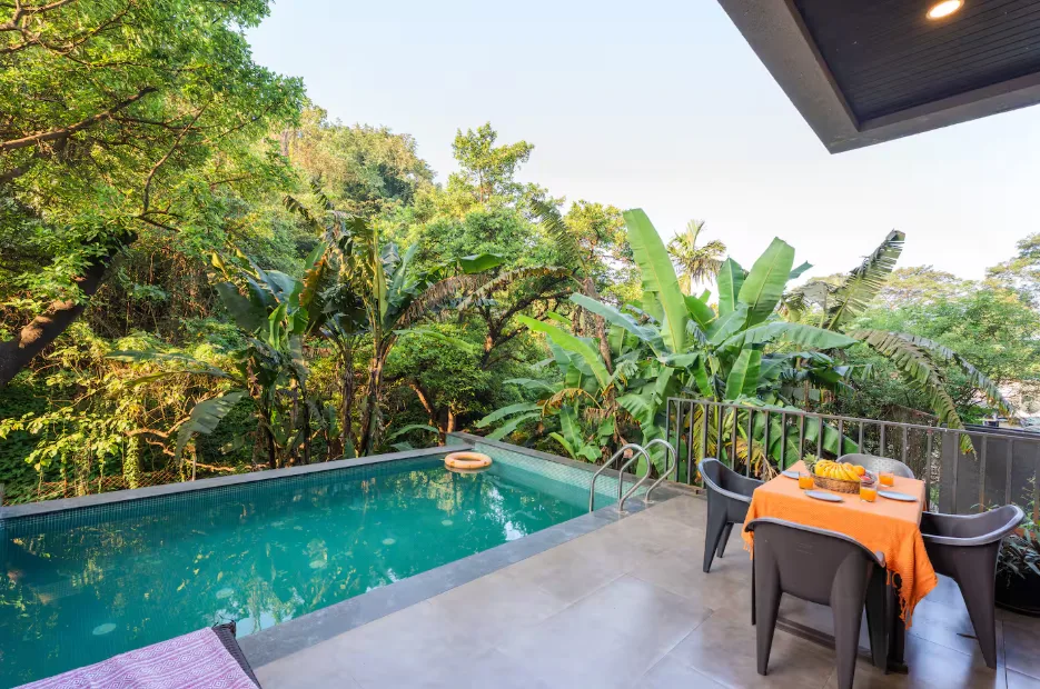 Iris 15